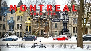 Snowy Montreal Walking Tour Montreal Downtown Saint Denis St January 2024 [upl. by Zerla]