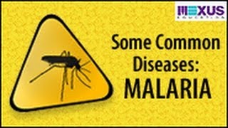 Some Common Diseases Malaria [upl. by Esyned]