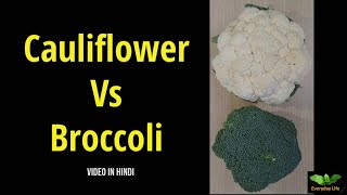 Cauliflower Vs Broccoli  Vegetables  Everyday Life  307 [upl. by Eenaej]