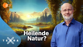 Harald Lesch  und die unterschätzte Klimachance  Terra X Harald Lesch Ganze TVFolge [upl. by Kram]