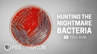 When Antibiotics Dont Work full documentary  FRONTLINE [upl. by Morrell]