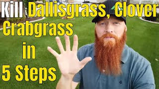 Kill Crabgrass Dallisgrass Clover in 5 Easy Steps Oxalis morning glory and Crabgrass Killer [upl. by Salvay]