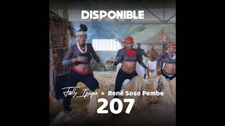 FALLY IPUPA 207  CLIP OFFICIEL  2024 [upl. by Ahsieyn]