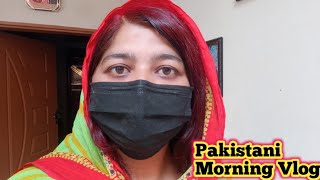 Pakistani Morning vlogPure Mud house lifeHadi rajput [upl. by Deste671]