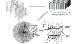 Polymer Crystallization [upl. by Mark]