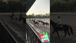 Horse riding training at jinnah polo riding canter horse sheroplays sherooplays horseriding [upl. by Derriey]