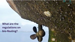 What are the regulations on biofouling  Quiz answer  marinaura [upl. by Cochran]