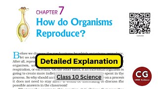 Class 10 Biology How Do Organisms Reproduce Detailed One Shot Explanation [upl. by Jankell]