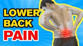 How To Fix Lower Back Pain Instantly [upl. by Drofniw]