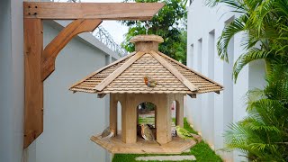 Build Most Amazing Bird House and Bird Feeder [upl. by Lenard914]