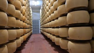 IL PARMIGIANO REGGIANO [upl. by Akisej]