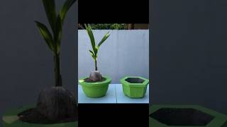 plant Pot making Idea with Iron sheet art trending viral diy shorts youtubeshorts cementing [upl. by Ollopa]