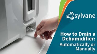 How to Drain a Dehumidifier Automatically  Sylvane [upl. by Aryek]