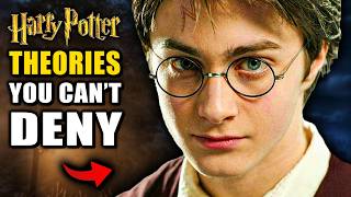 7 Harry Potter Theories Every Fan AGREES ON [upl. by Nica944]