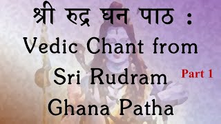 Sri Rudra Ghana Patha  Part 1  Imaam Rudraya  Yajur Veda  Produced by Sri K Suresh [upl. by Nirej]