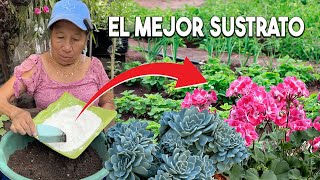 COMO preparar el MEJOR SUSTRATO para tus PLANTAS  Como tener lindas plantas [upl. by Cleveland]