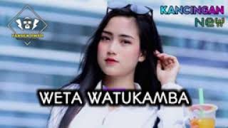 WETA WATUKAMBA🌴LAGU REMIX ENDE LIO🌴YANSEN LAMPO [upl. by Attelrahs]