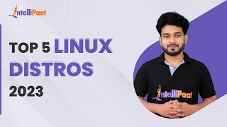 Linux Distro Explained  Top 5 Linux Distros 2023  Linux Ecosystem  Intellipaat [upl. by Clarance]