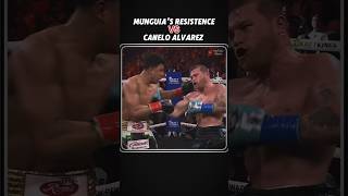 Jamie Munguias Extraordinary Endurance  Canelo Alvarez VS Jamie Munguia [upl. by Uel211]