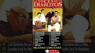 Historia  Los Diablitos vallenato shorts [upl. by Elwaine]