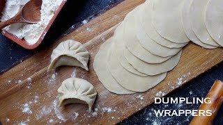 Homemade dumpling wrappers 饺子皮 [upl. by Noitna]