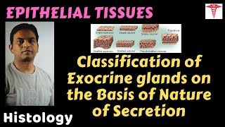 Histo – Epithelial T – Glands on the Basis of Nature of Secretion  Dr Prashant Sharma [upl. by Eesdnyl]