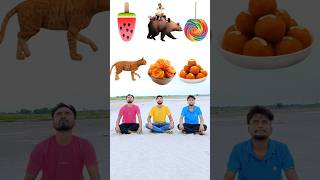 Eating laddu jalebi lolipop icecream fish honey cake vs cat bear elephant catching game 😄 [upl. by Hallock]