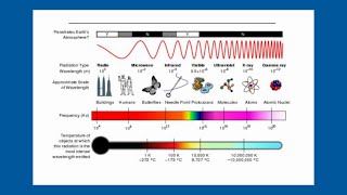 Waves Sound and Light Grade 10 Physics Full Course [upl. by Onaivatco54]