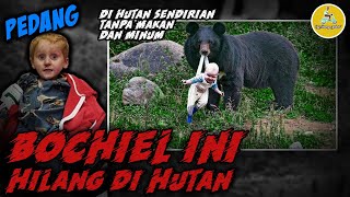 HARUS BERTAHAN HIDUP DI HUTAN SENDIRIAN [upl. by Stace]