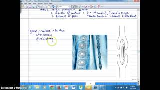 Ch 2K Tensile Strength Cavitation and Embolism [upl. by Faith]