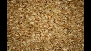 short grain brown rice  How to Make Recipes  Easy To Learn [upl. by Malanie410]