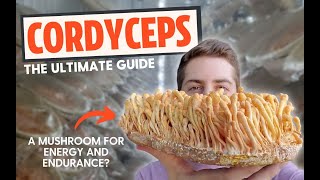 Zombie Fungus or Energy Mushroom The Ultimate Guide To Cordyceps [upl. by Abehsat]