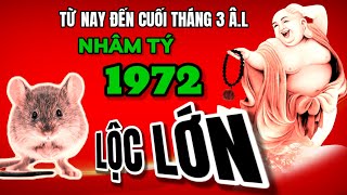 Từ nay đến cuối tháng 3 âm thầy tử vi báo tin Nhâm Tý 1972 vận đỏ tìm đến Tiền đổ về như thác lũ [upl. by Brit]