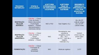 COMPARAÇÃO ENTRE RESPIRAÇÃO AERÓBICA ANAERÓBICA E FERMENTAÇÃO [upl. by Leohcin]