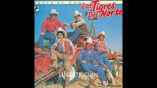 Los tigres Del norte Mix De Viejitas Norteñas [upl. by Lhamaj]