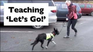 How to stop your dog lunging and barking Train Lets Go shy reactive dogs [upl. by Adniles]