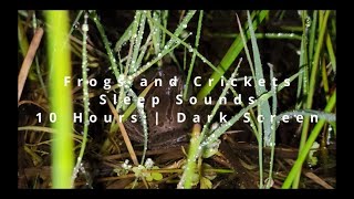 Frogs And Crickets  10 Hours Dark Screen  Sounds For Sleep [upl. by Ladnor]