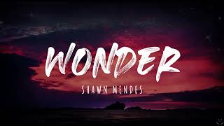 Shawn Mendes  Wonder Lyrics 1 Hour [upl. by Daenis]