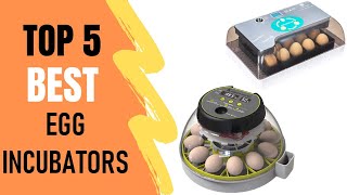 5 Egg Incubators  Best Egg Incubators Reviews 2021 [upl. by Ahsienar]