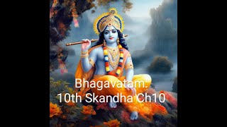 Daily Bhagavatam 187 Damodar Lila  Krishna liberates the two sons of Kubera  10th Skandha Ch10 [upl. by Hamilton]