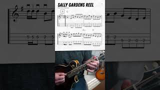 quotSally Gardens Reelquot  Mandolin Lesson shorts [upl. by Riffle]