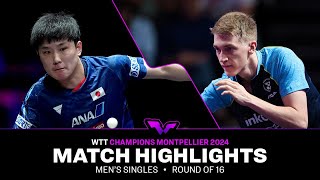 Tomokazu Harimoto vs Anton Kallberg  MS R16  WTT Champions Montpellier 2024 [upl. by Pish892]