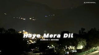 Haye Mera Dil Song Slowed  Reverb  Yo Yo Honey Singh  musicworldyt [upl. by Imyaj]