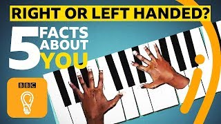 Right or lefthanded 5 facts about you  BBC Ideas [upl. by Philan]