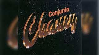 CONJUNTO CHANEY MIX DJ GUATIRITO [upl. by Dorotea]