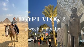 Egypt Vlog 2 Cairo Pyramids Giza [upl. by Allisan]