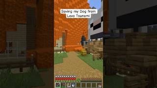 Saving my Dog from a Lava Tsunami in Minecraft minecraft [upl. by Nev]