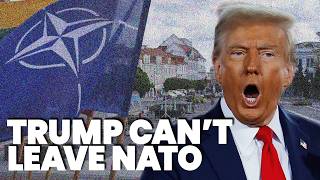 Trump can’t afford to leave Nato  World in 10 [upl. by Rainwater]