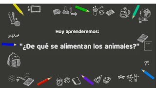 ALIMENTACIÓN DE LOS ANIMALES CARNÍVOROS HERBÍVOROS Y OMNÍVOROS PARA NIÑOS DE NIVEL INICIAL 2020 [upl. by Ellene]