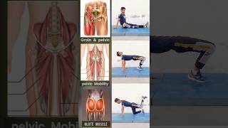 Pelvic exercise exercise fitness short fitness workout [upl. by Brie]